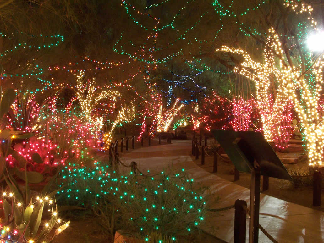 Christmas Lights